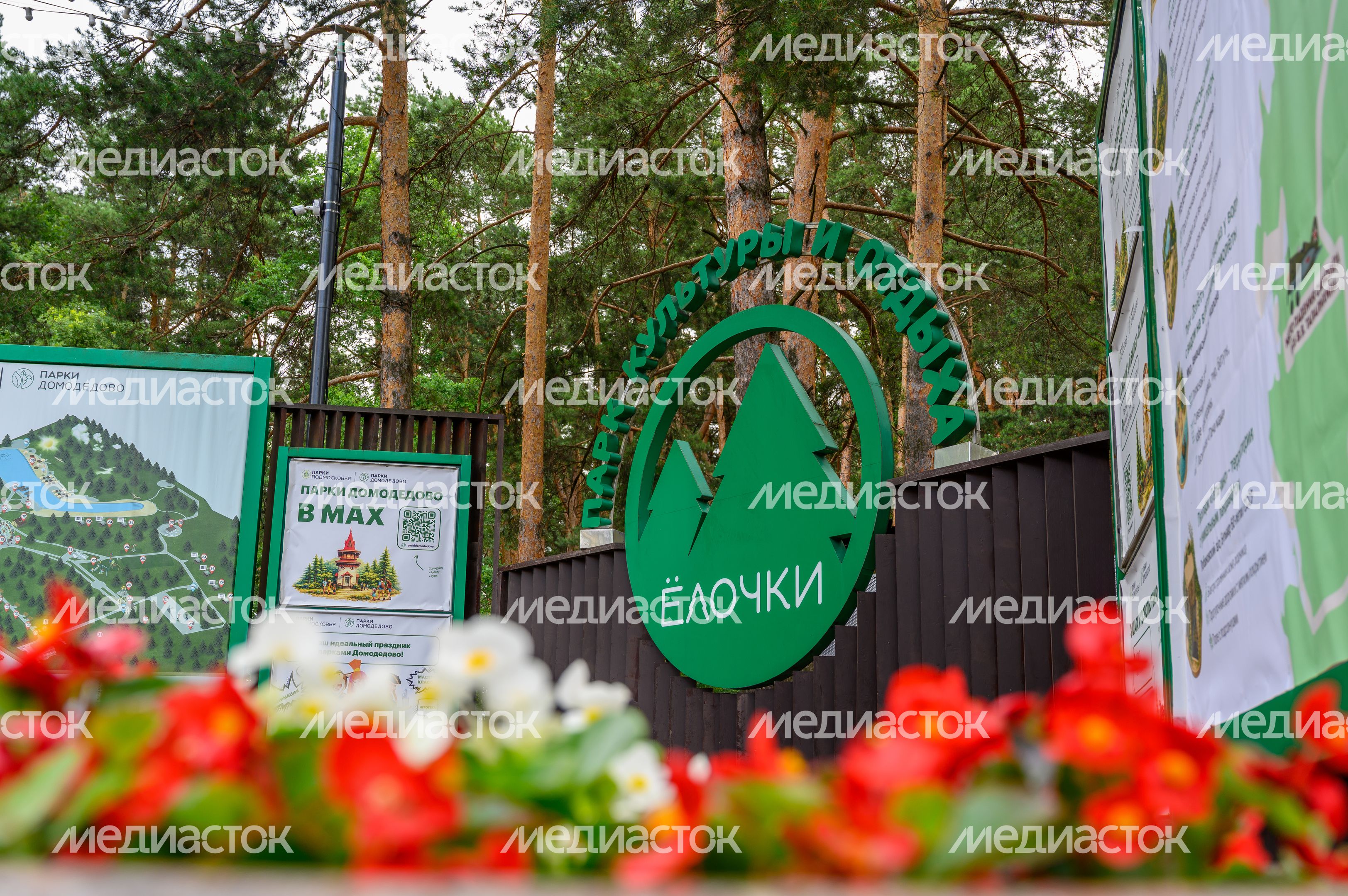 Лето в парке «Елочки» Домодедово Лето в парке «Елочки» Домодедово