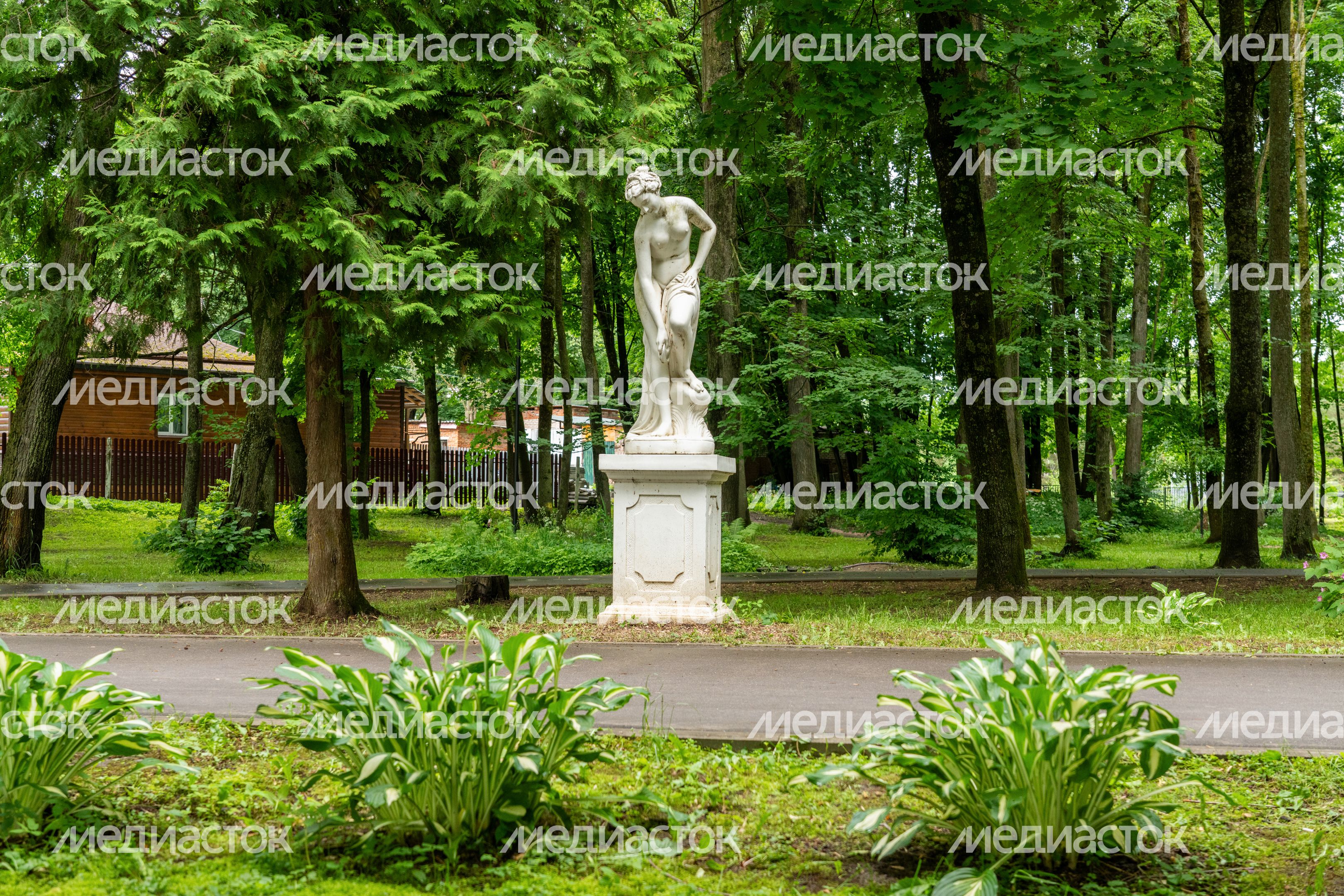Лотошинский парк культуры и отдыха. Лето 2026 Лотошинский парк культуры и отдыха. Лето 2026