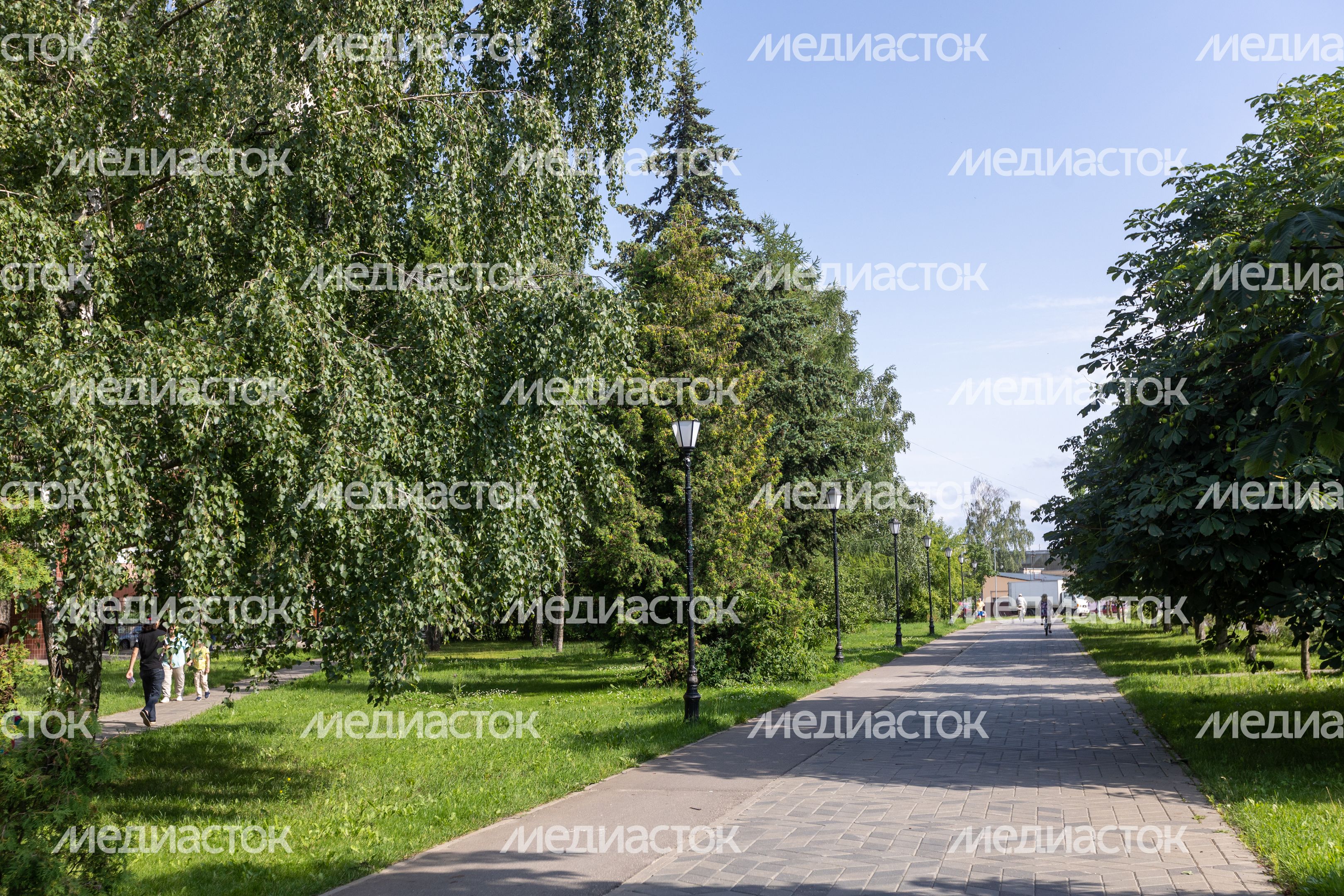 Петровский бульвар в Лосино-Петровском