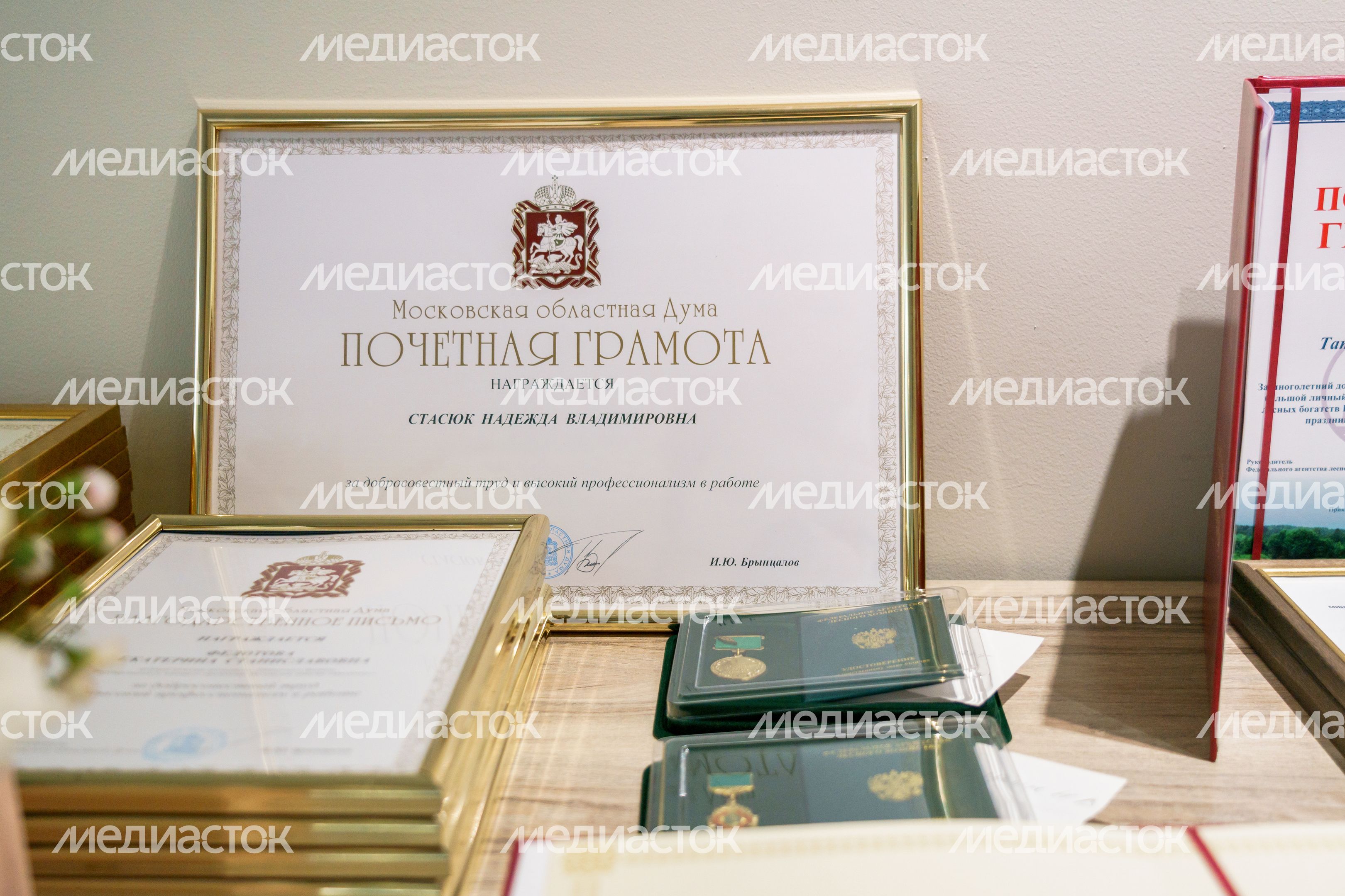 96 специалистов лесного хозяйства наградили ко Дню работников леса в Подмосковье 96 специалистов лесного хозяйства наградили ко Дню работников леса в Подмосковье