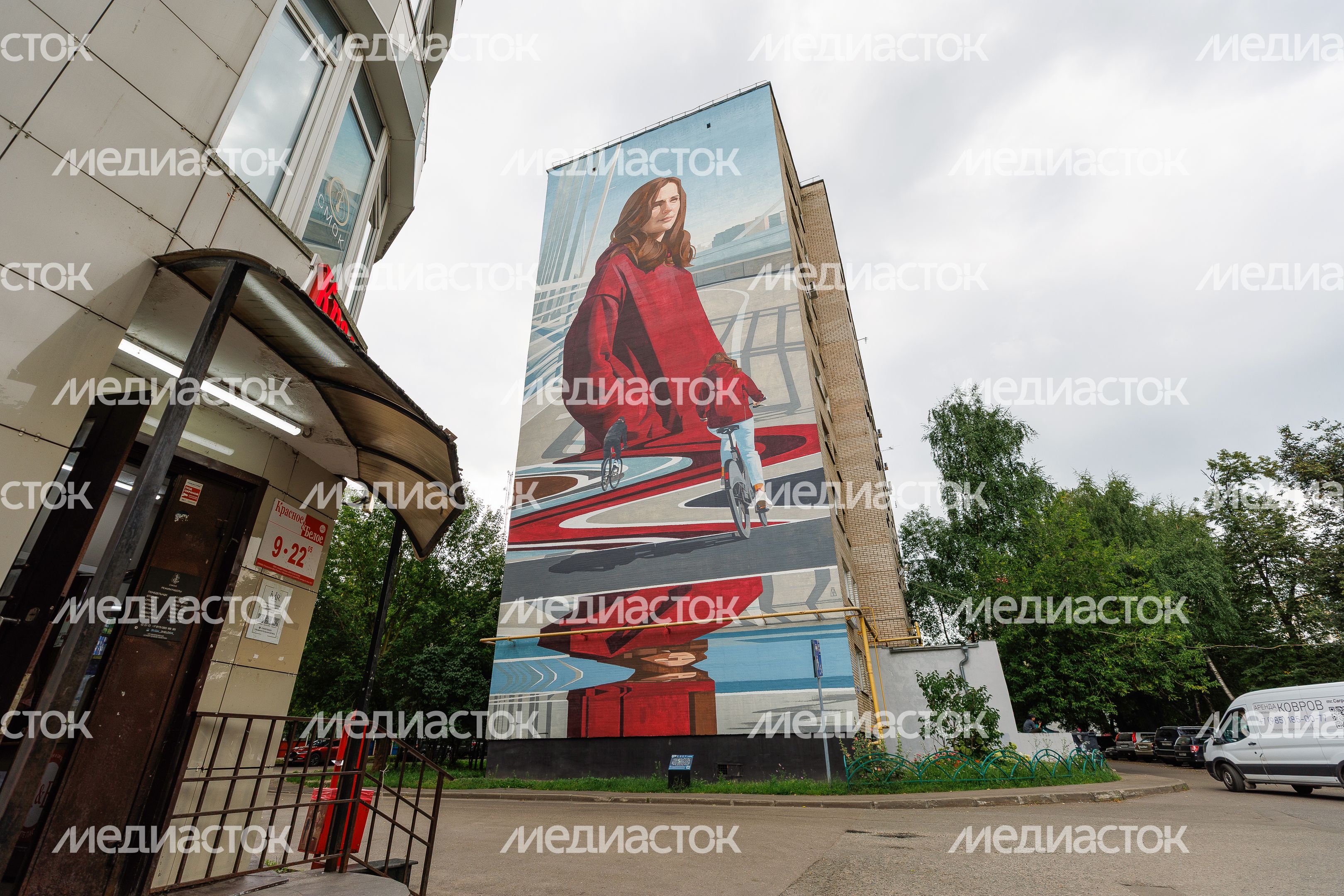 Муралы в Железнодорожном, Балашиха