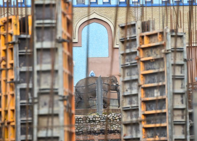 Пресс-тур в Московский зоопарк с Рафиком Загрутдиновым