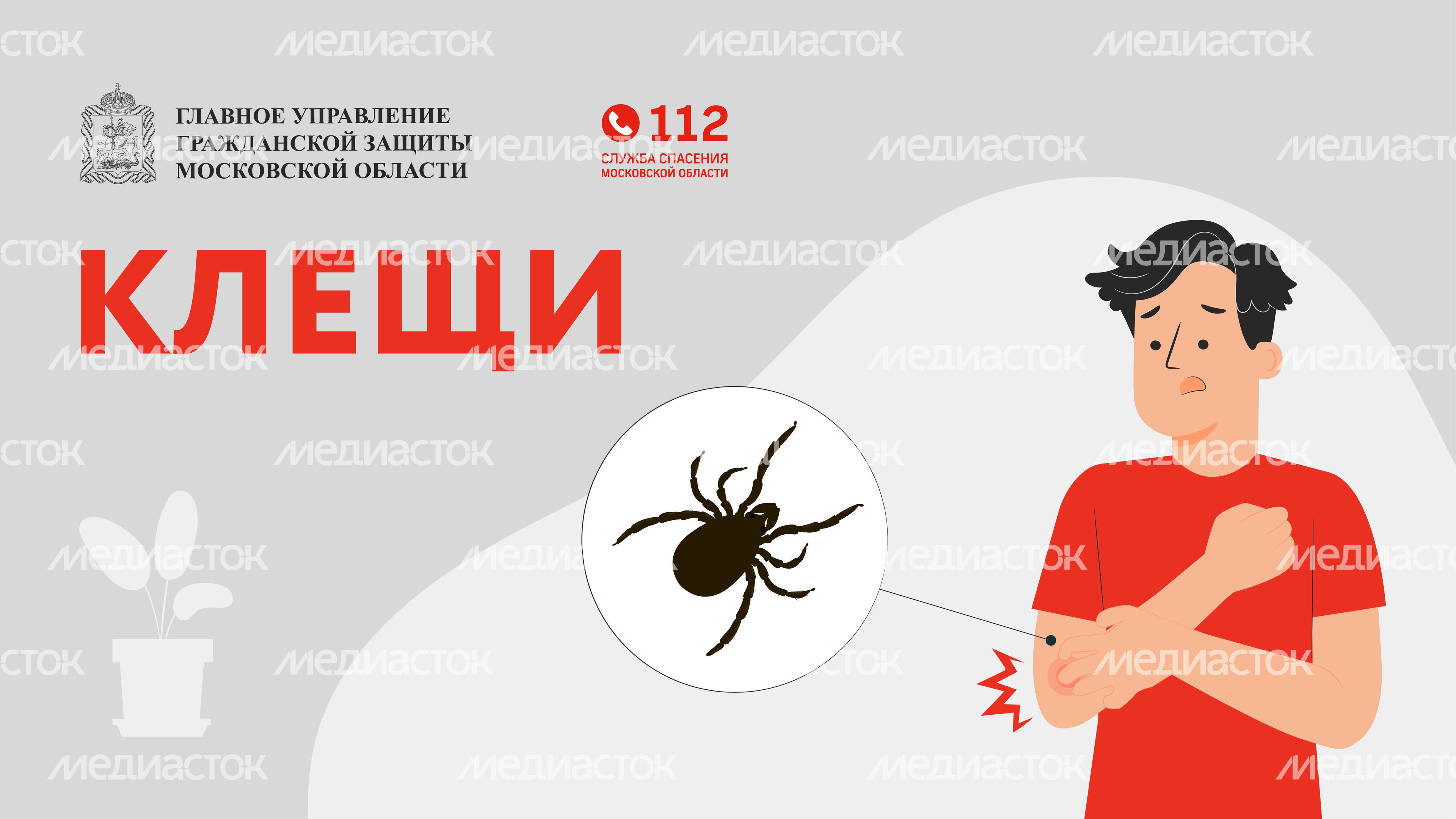 клещи_горизонталь_01