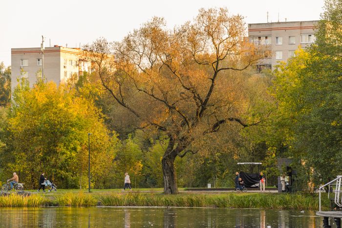 Балашиха. Парк "Пехорка"