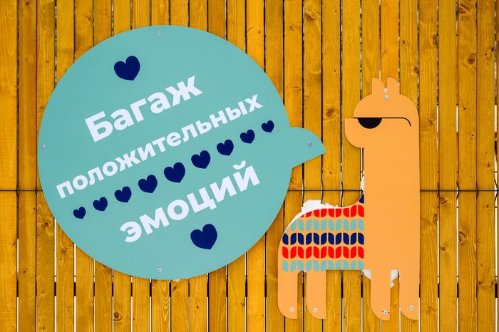 Парк альпак «Пача мама» в парке «Взлет» Домодедово