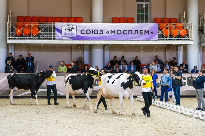 28-я областная выставка племенных животных «Звезды Подмосковья-2025»