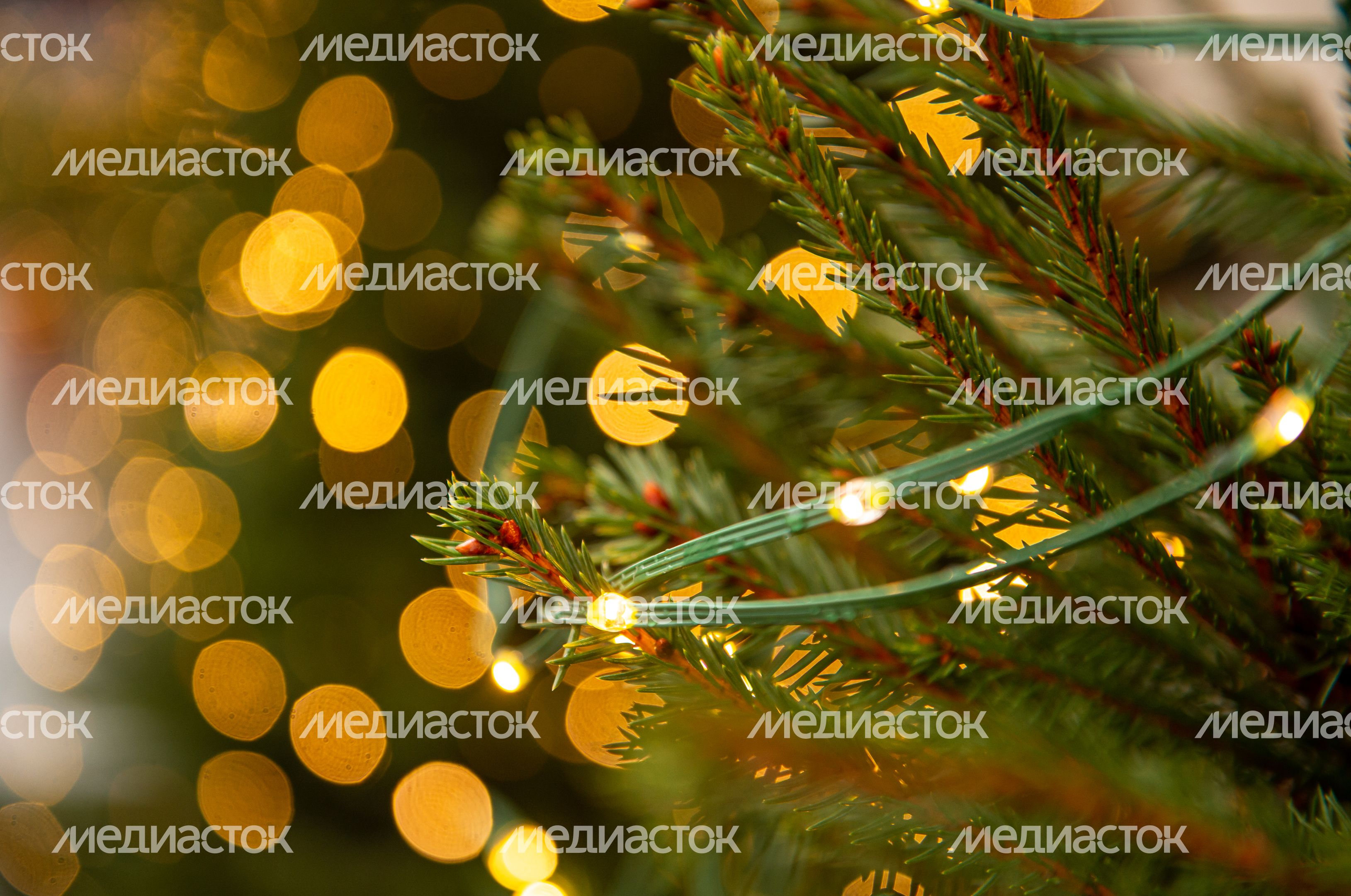 Декабрь в Москве