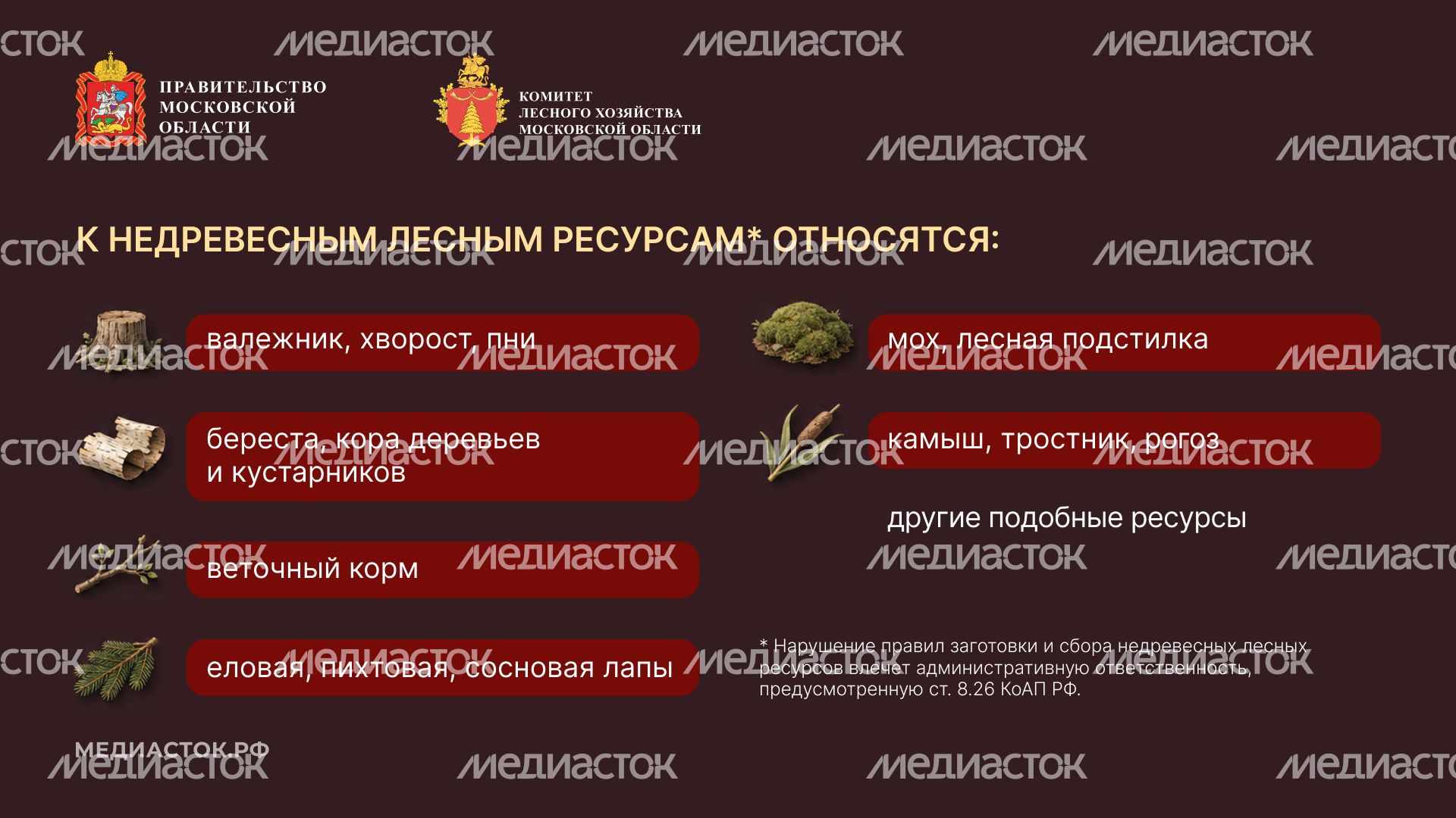 Недревесные ресурсы для собственных нужд Горизонталь 03