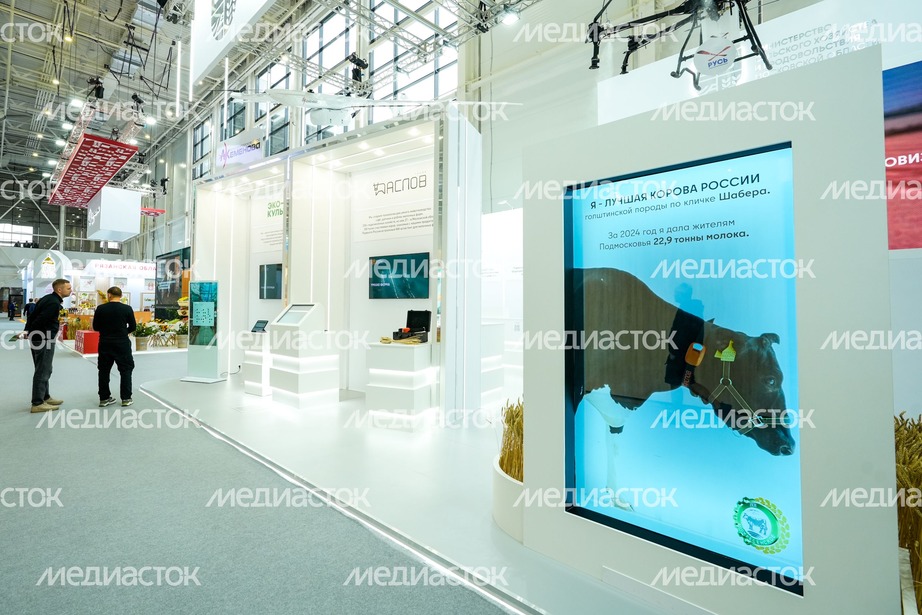Стенд Подмосковья на выставке "Золотая осень - 2025" Стенд Подмосковья на выставке "Золотая осень - 2025"