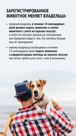 Зарегистрировать домашнее животное ред 2-вертикаль-09.png
