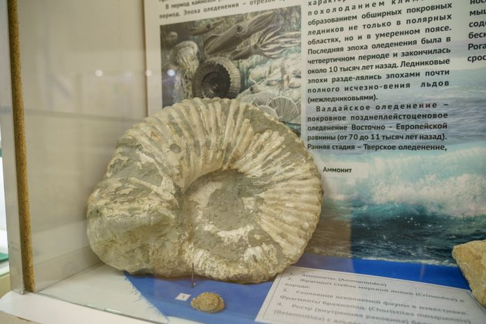 Музей Дубны. Отделение археологии и краеведения