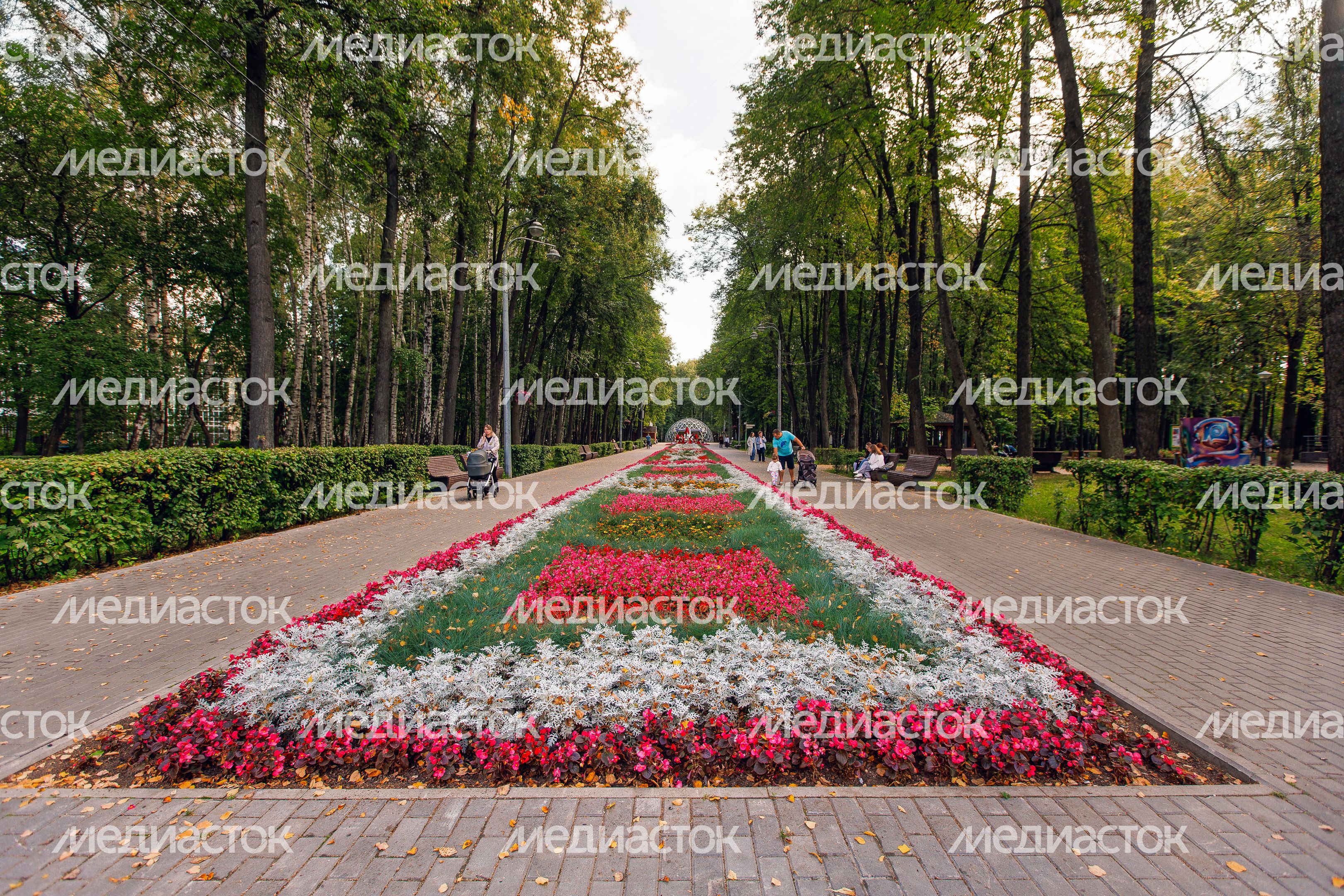 Центральный городской парк им. М.И. Калинина в Королеве летом Центральный городской парк им. М.И. Калинина в Королеве летом