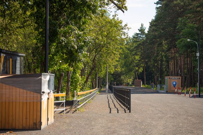 Лестница в лесопарке «Волкуша» в Лыткарино