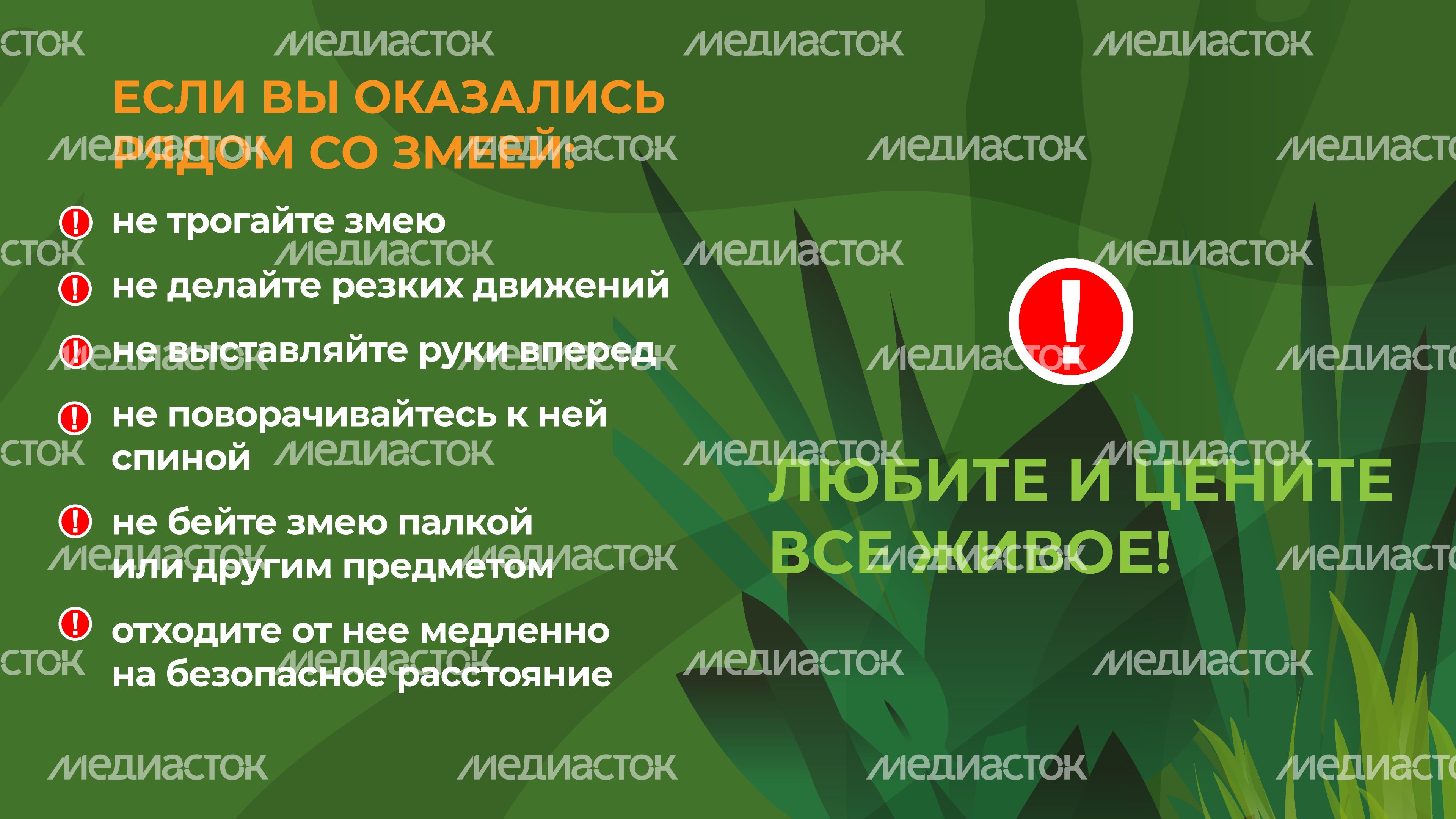 уппр_змеи_гор_6