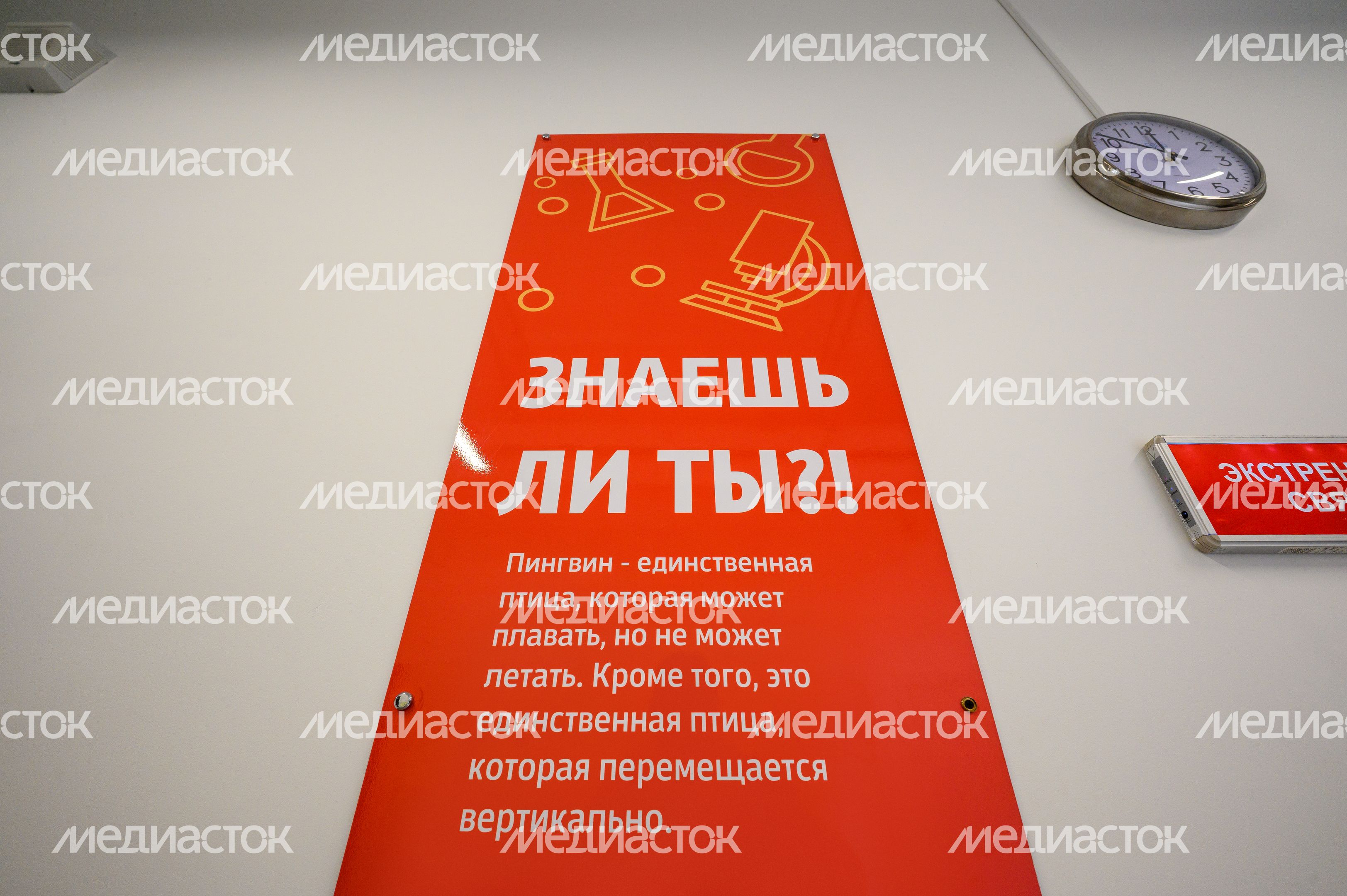 Новая школа «Диалог» на 1100 мест в ЖК «Мытищи парк» Новая школа «Диалог» на 1100 мест в ЖК «Мытищи парк»