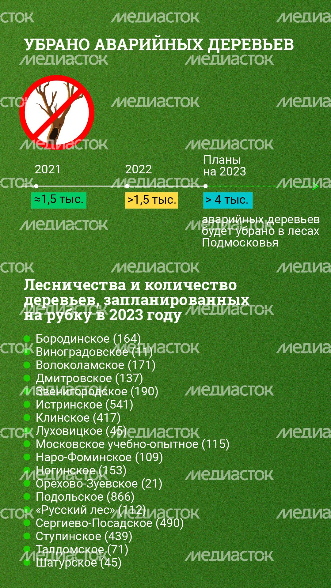 Вертикаль_ аварийные деревья_04-80.jpg