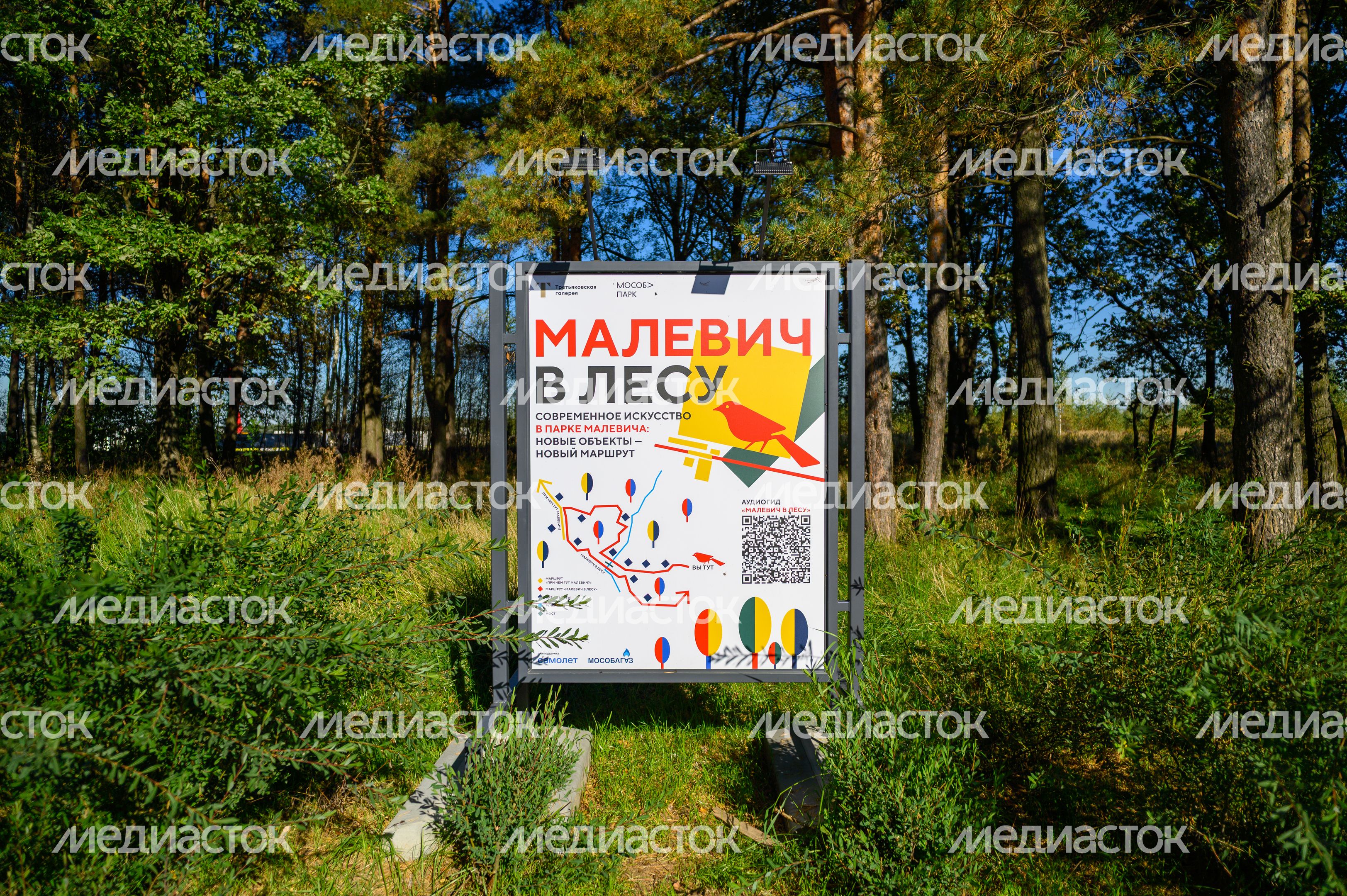 Прогулка по парку Малевича осенью Прогулка по парку Малевича осенью