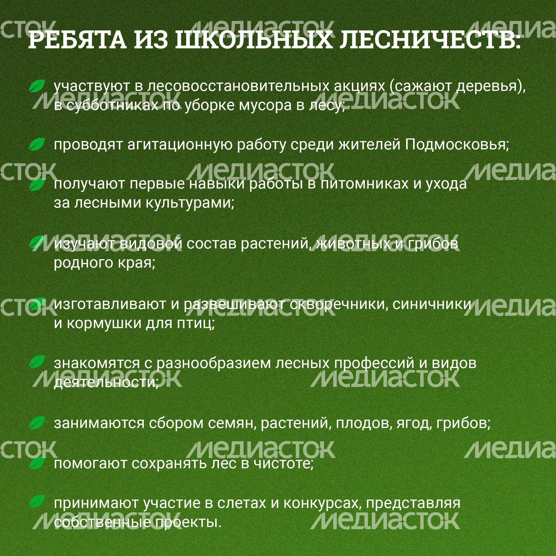 Школьные лесничества
