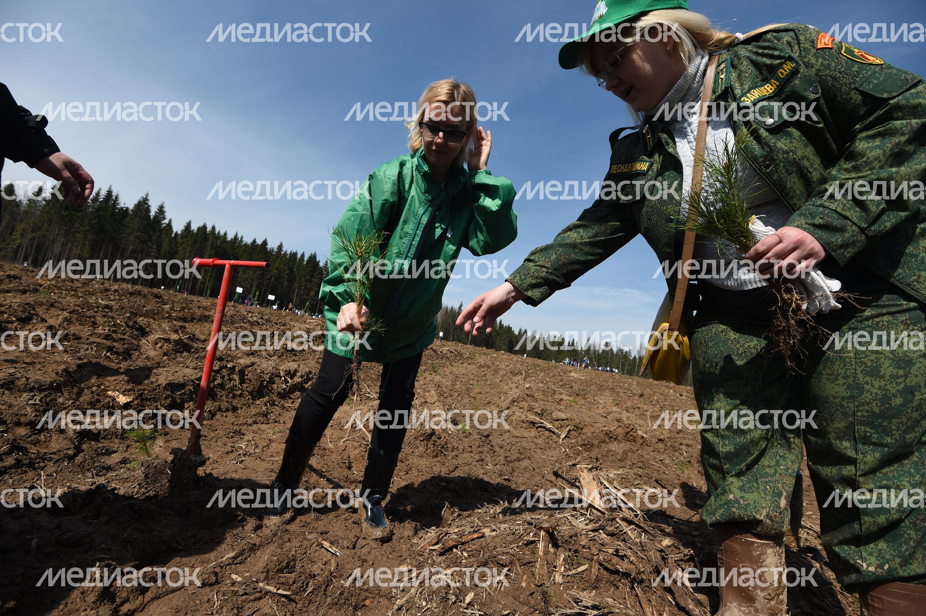 Общеобластная акция «Лес Победы» на центральной площадке в г. о. Истра Общеобластная акция «Лес Победы» на центральной площадке в г. о. Истра