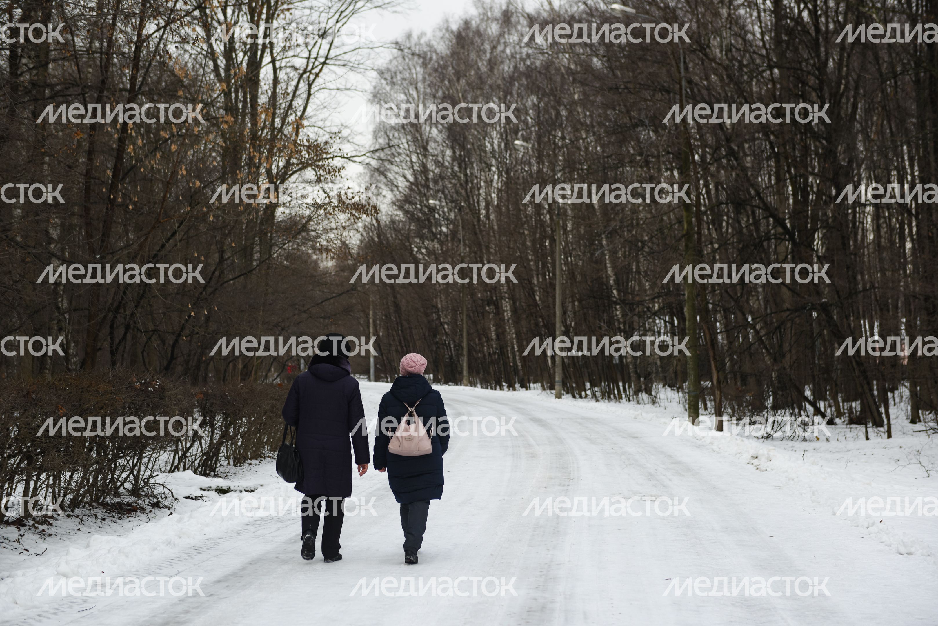 Лесопарк «Кусково»