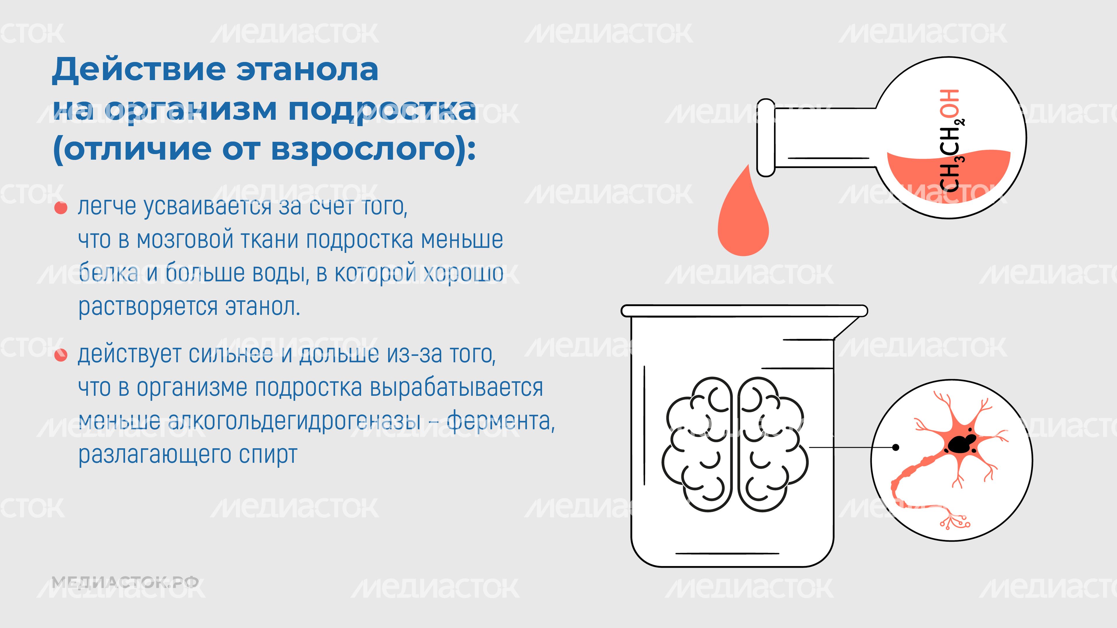Алкоголь и развитие мозга горизонталь 07 Алкоголь и развитие мозга горизонталь 07
