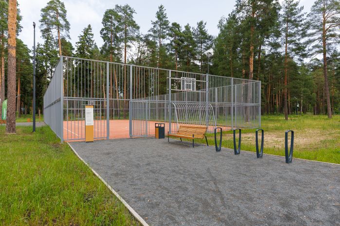 Спортивная площадка в лесопарке «Стрелки» в Орехово-Зуево летом