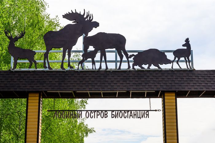 Национальный парк «Лосиный остров» в Мытищах