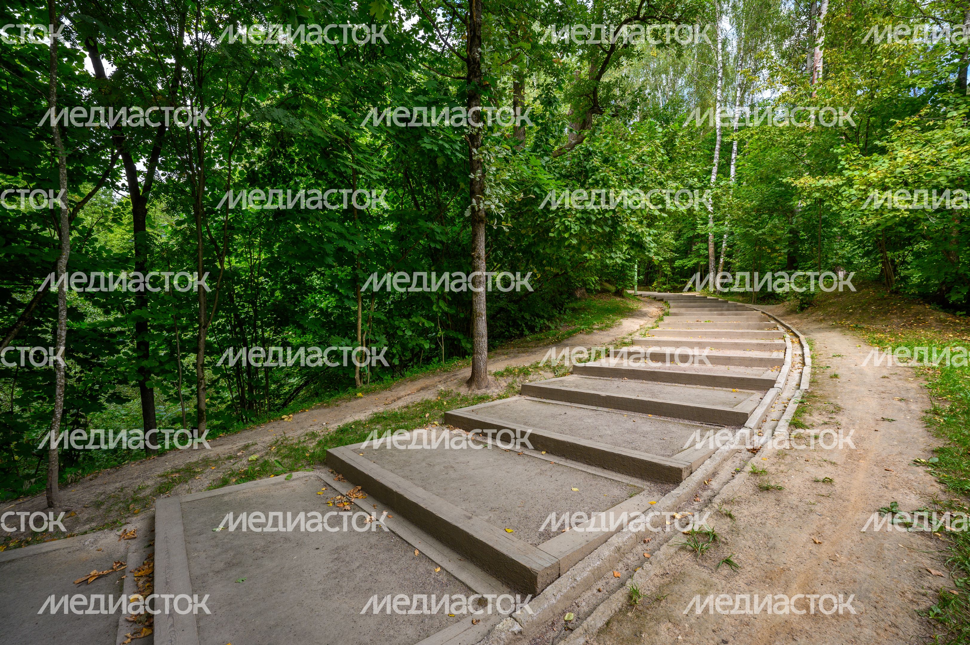 Лето в лесопарке «Гальчино» в Домодедово Лето в лесопарке «Гальчино» в Домодедово