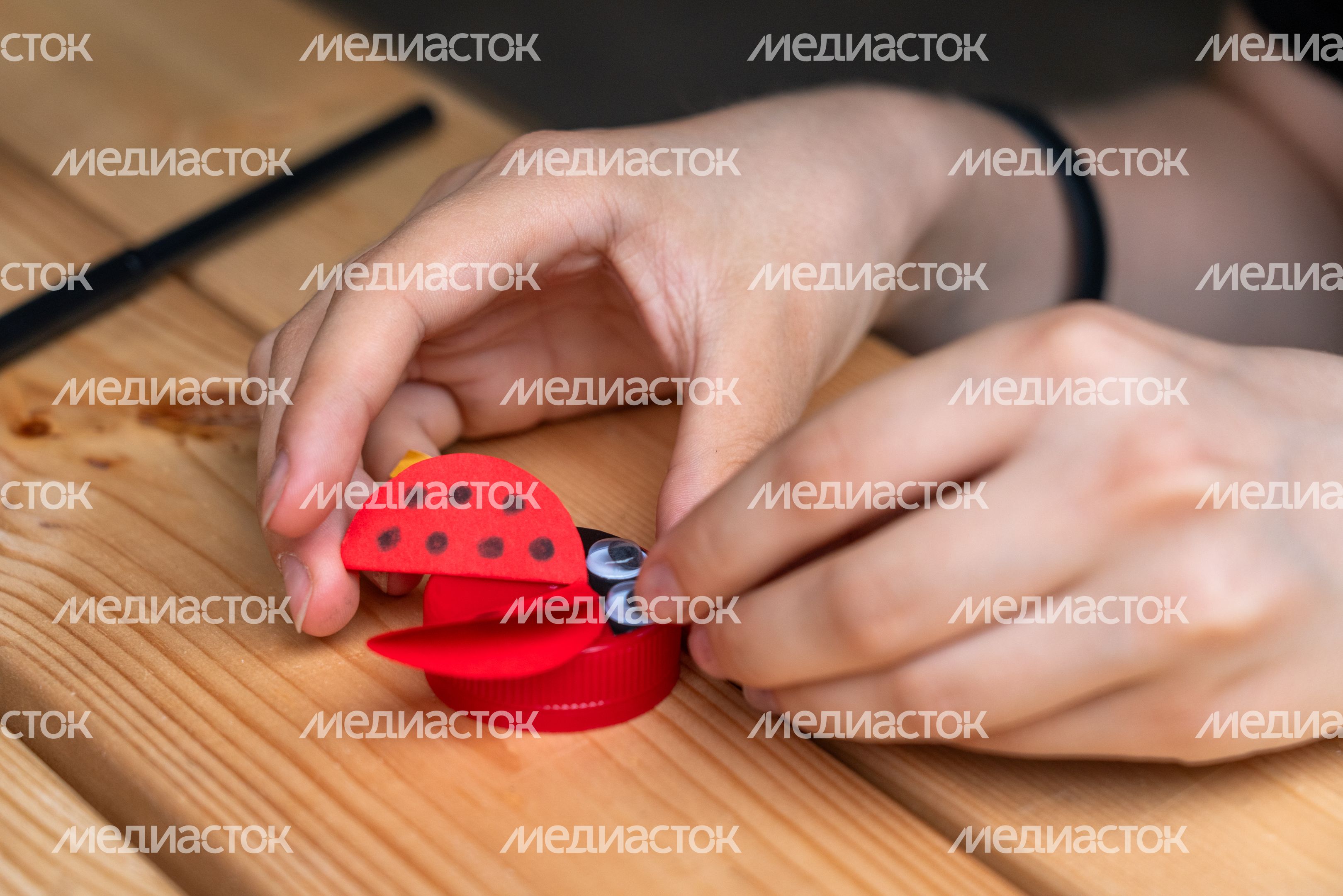 Ярмарка экологических проектов в Химках Ярмарка экологических проектов в Химках