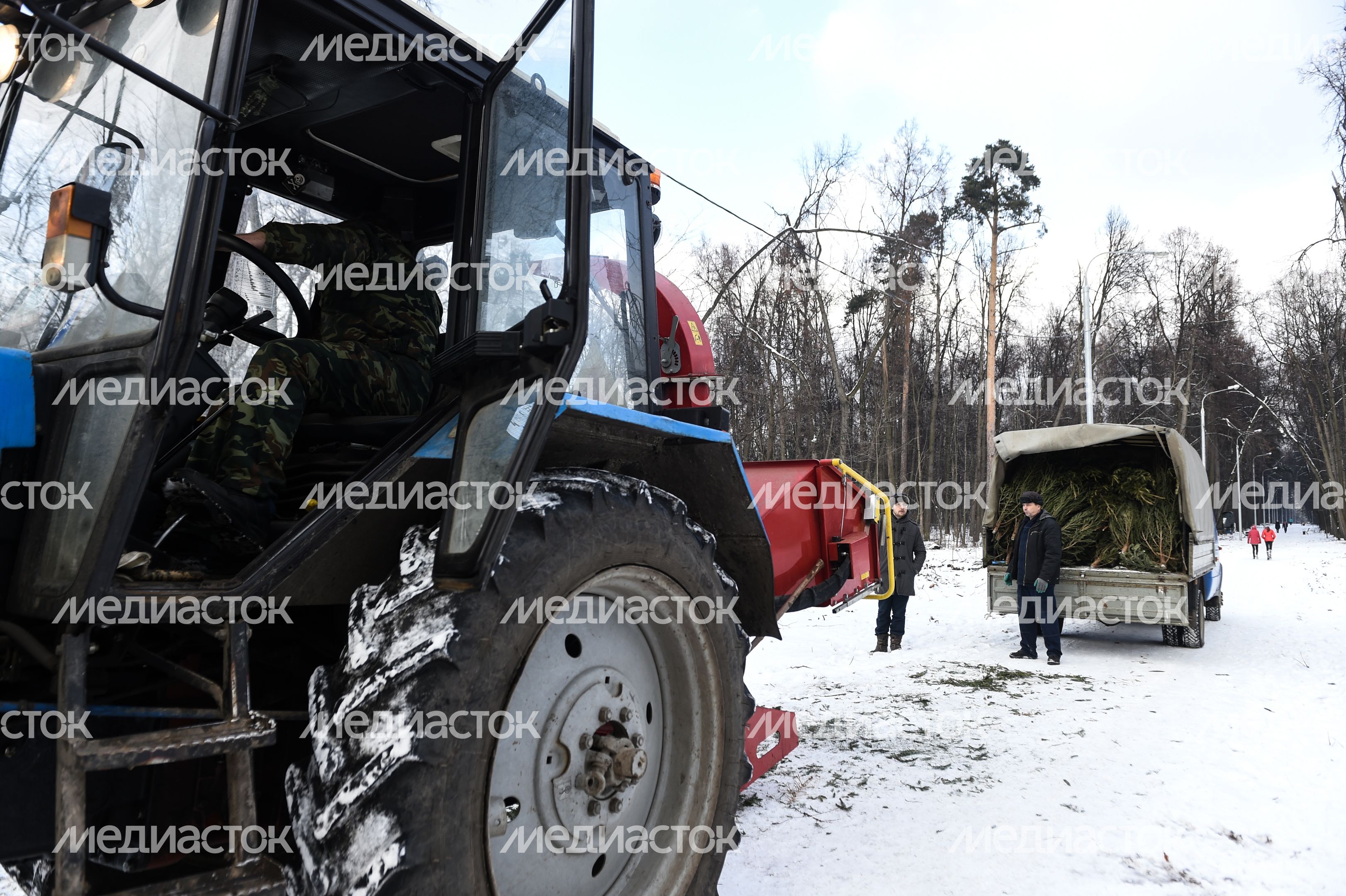 Утилизация елок после Нового года в Москве