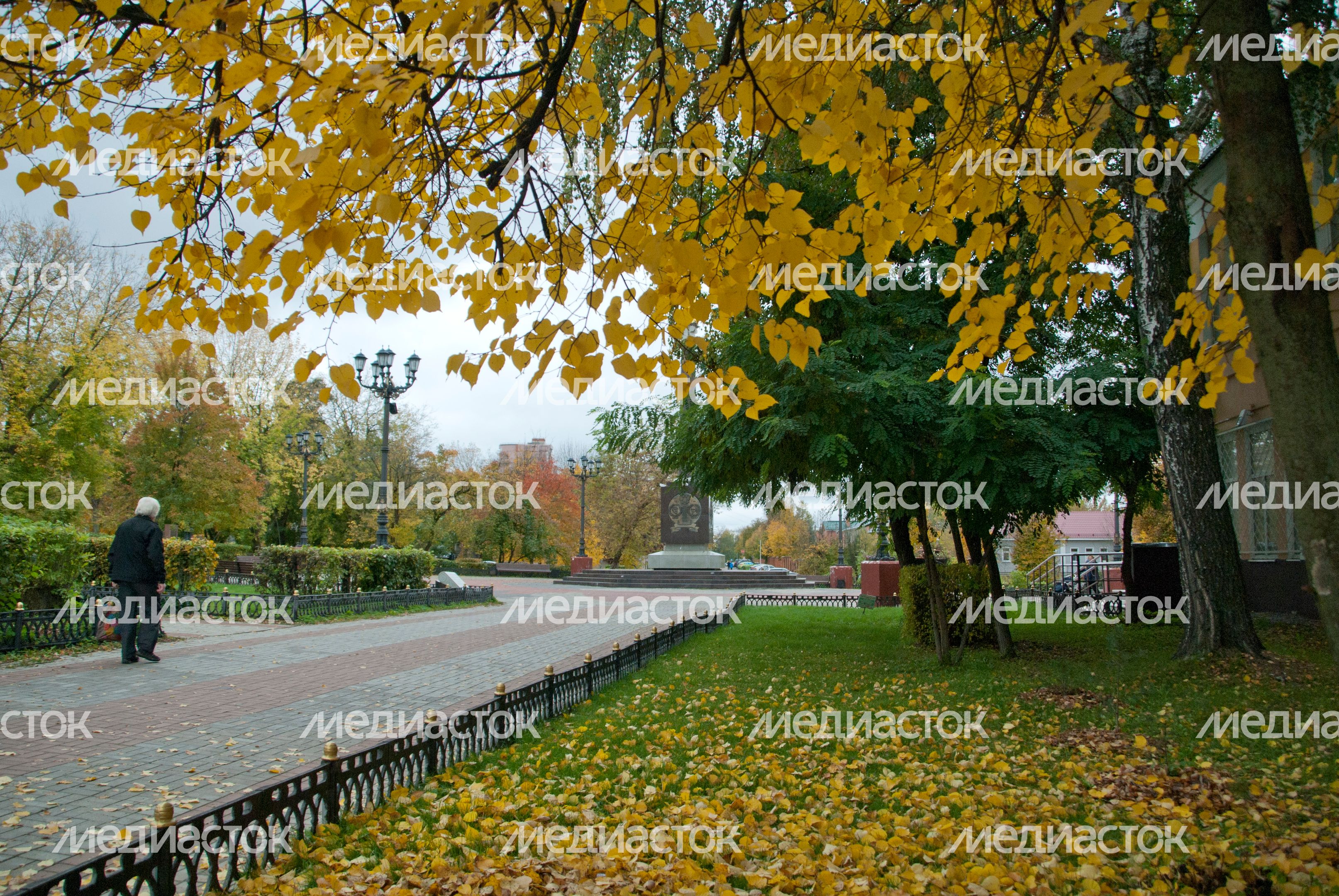 Осень в Подмосковье