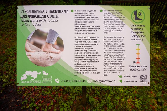 Эколого-просветительский комплекс "Дендрарий" в Мытищах