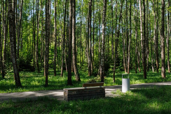 Весна в лесопарке «Северный» в Пушкино