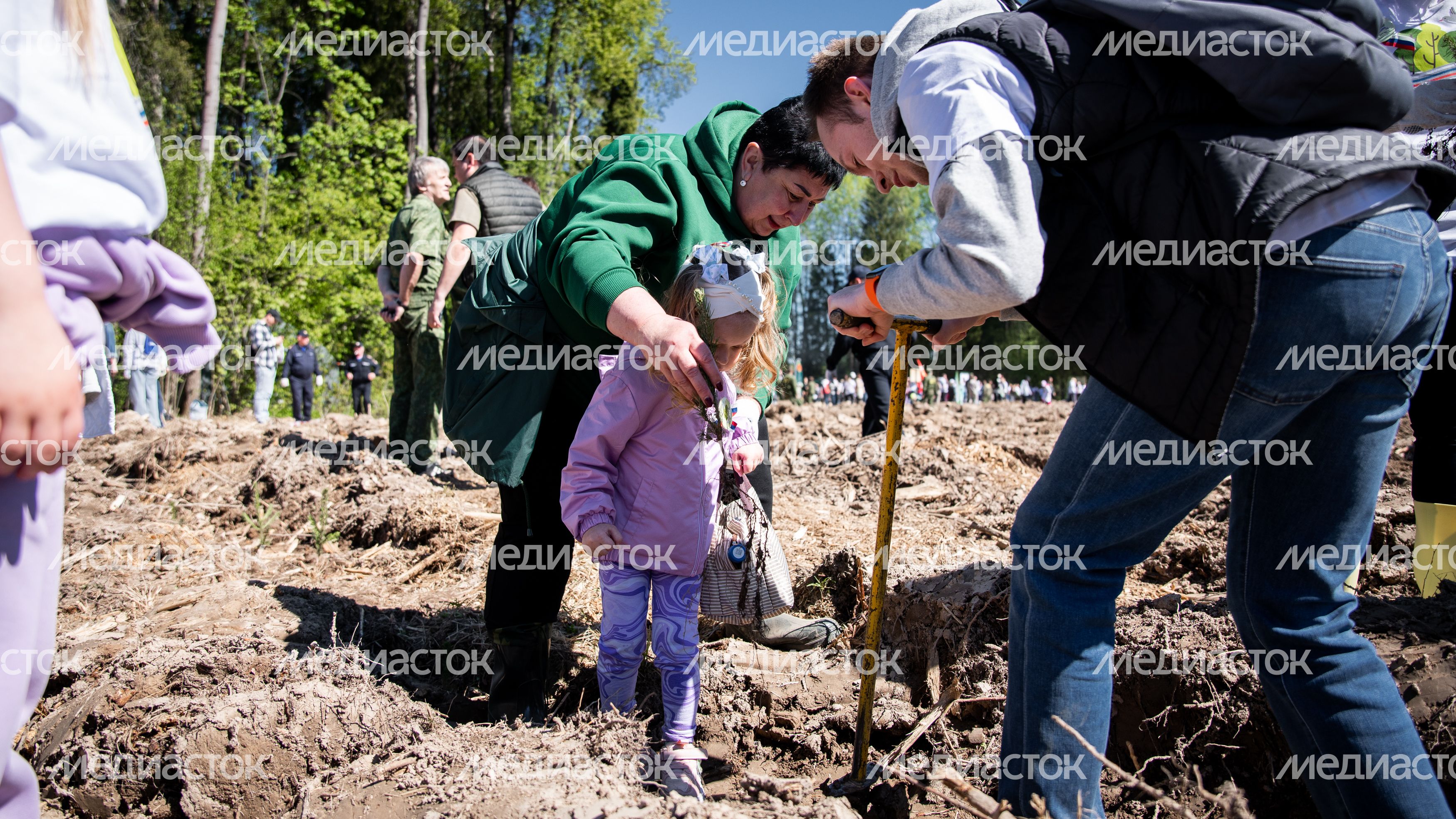 LDV_9248