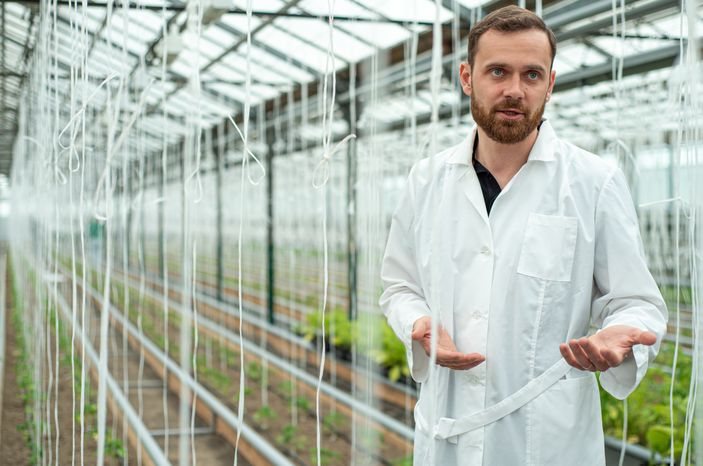 Теплицы крупного семеноводческого агропромышленного комплекса ООО «Агрофирма Партнер»