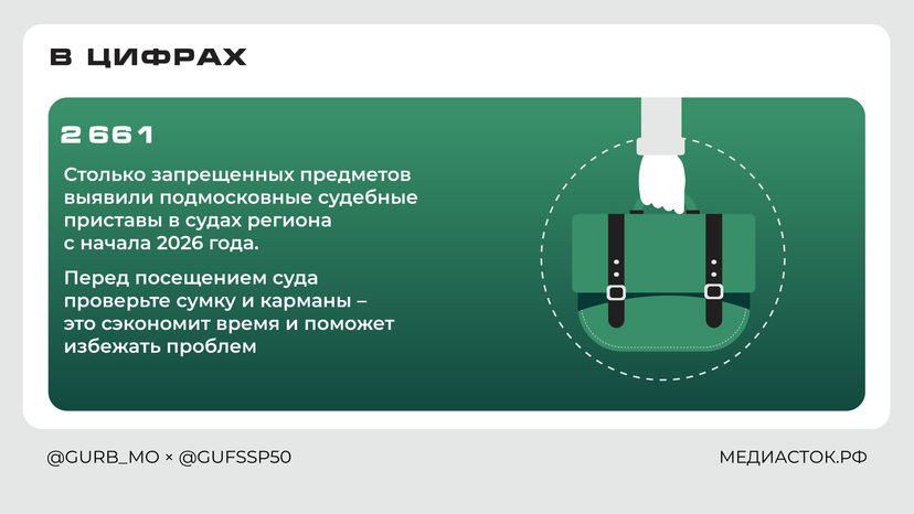 Что нельзя брать с собой в суд Горизонталь 07