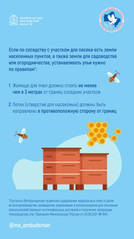 Вертикаль Вопрос-ответ. Пчеловодство-03.jpg