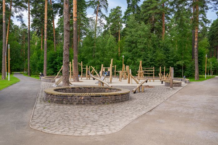 Лесопарк «Северный» в Пушкино летом