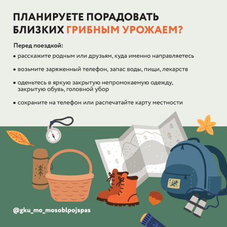 Квадрат грибы 03.jpg