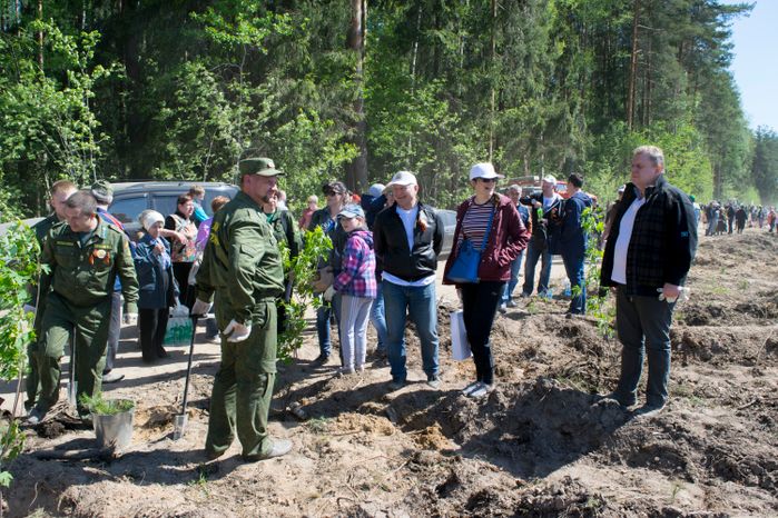 Акция «Лес Победы» в Раменском районе