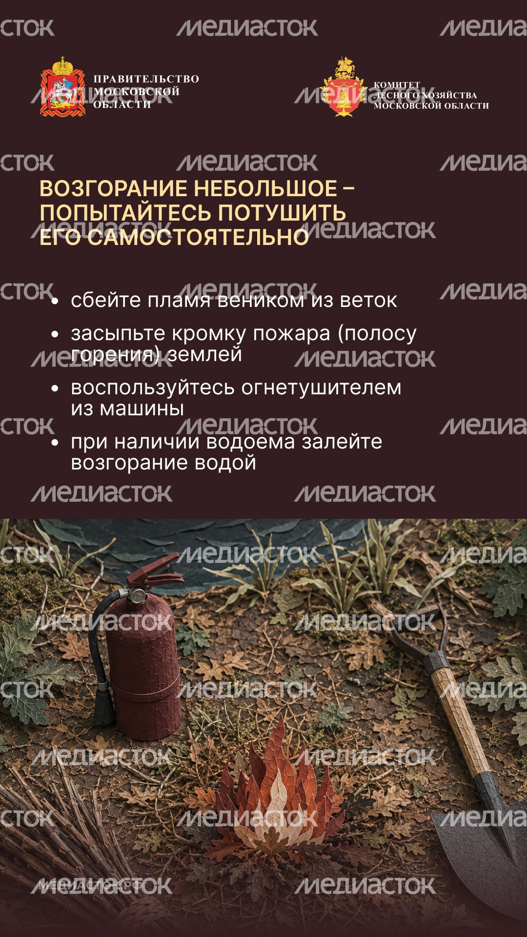 Живете рядом с лесом вертикаль 09