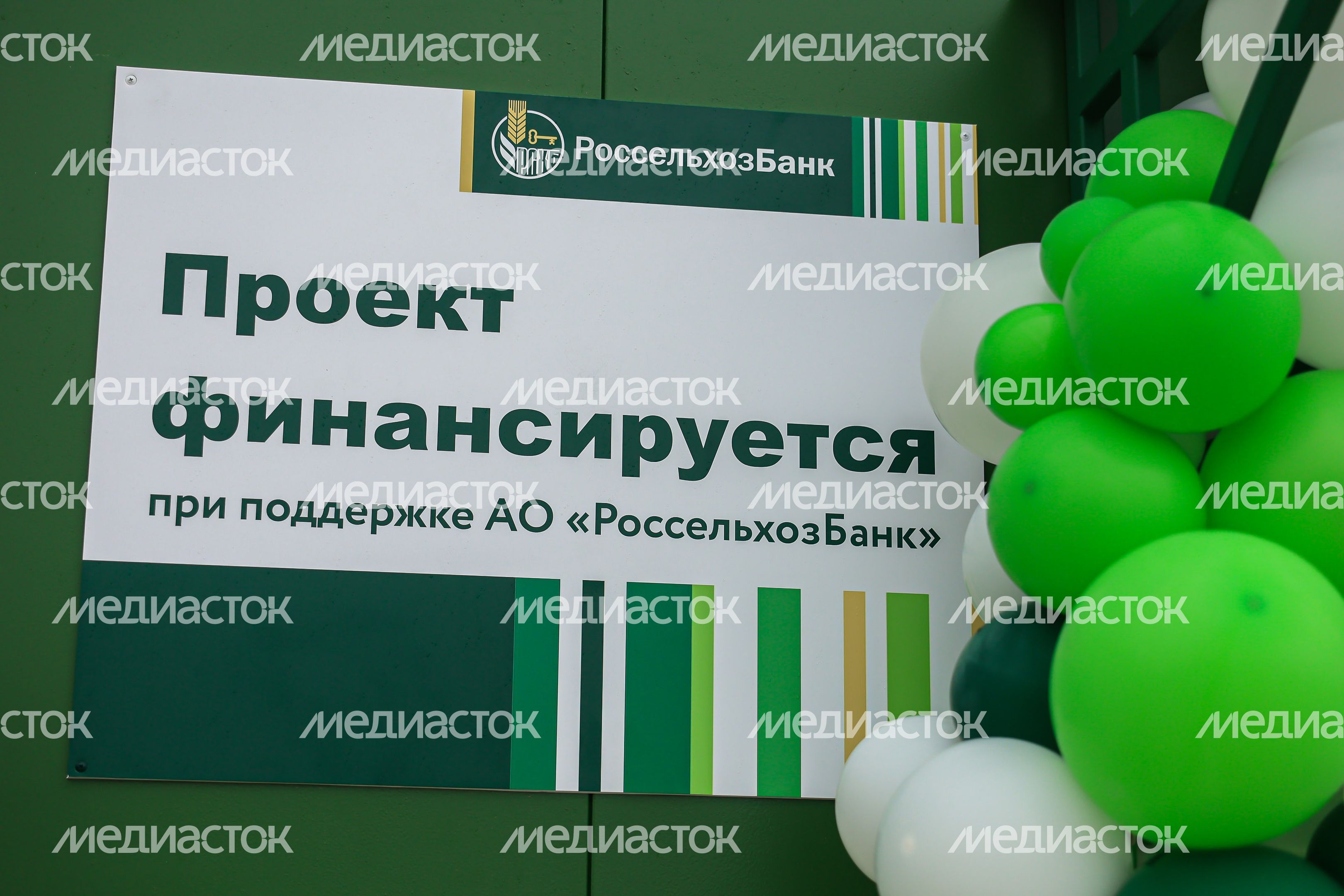 Открытие животноводческего комплекса «Бортниково» в Ступино Губернатором Подмосковья