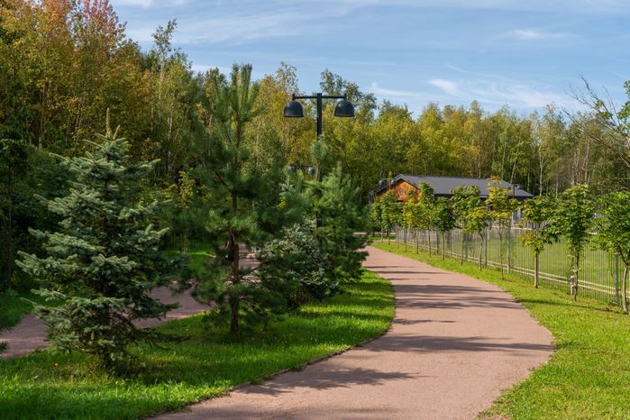 Лобненский лесопарк летом 2026 года