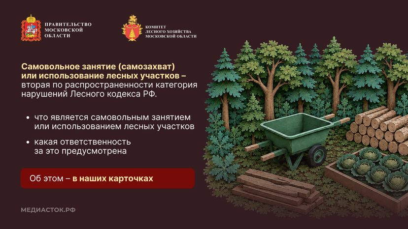 Самовольный захват и использование лесных участков горизонталь 03