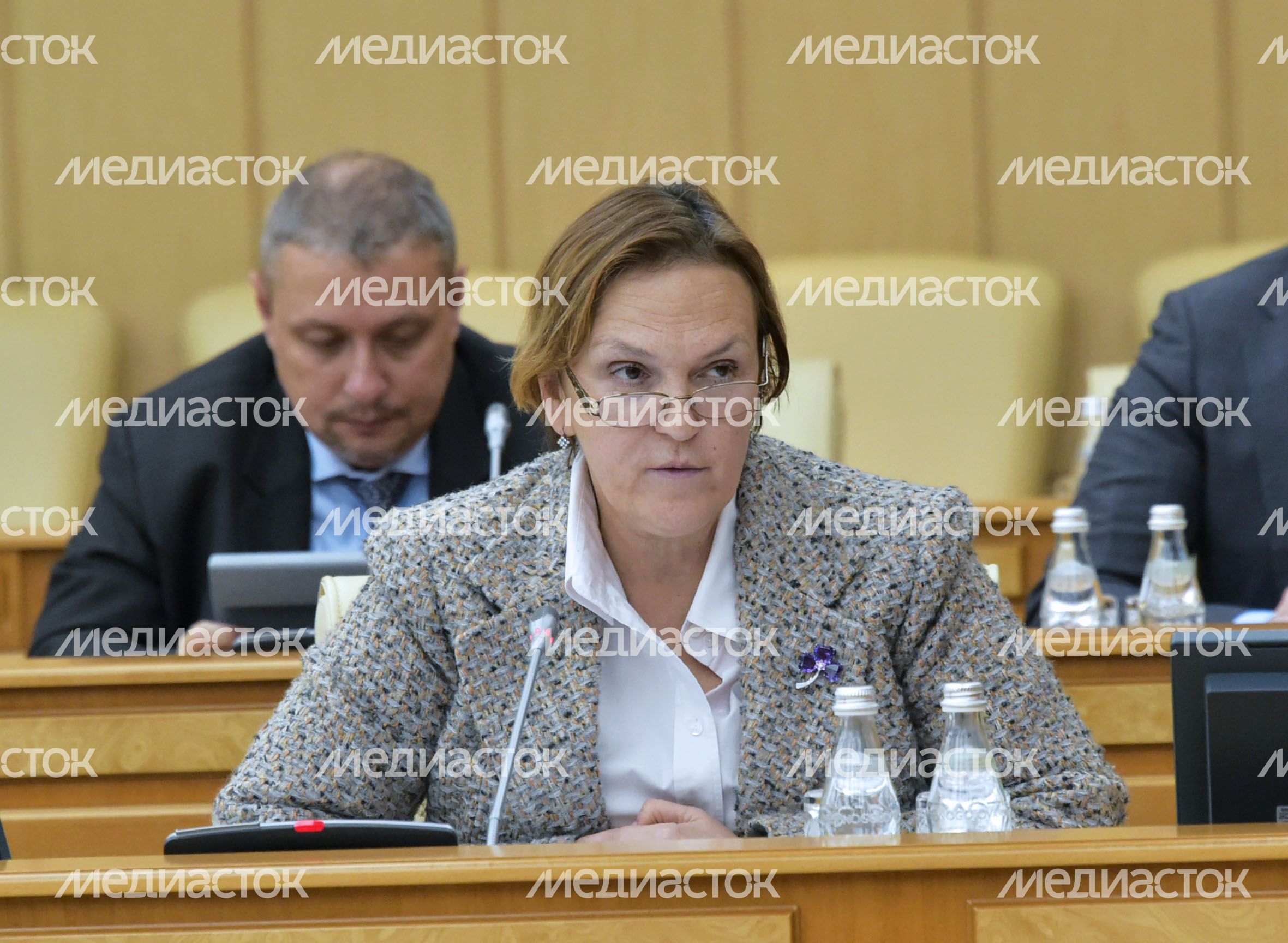 Заседание Градостроительного совета Московской области