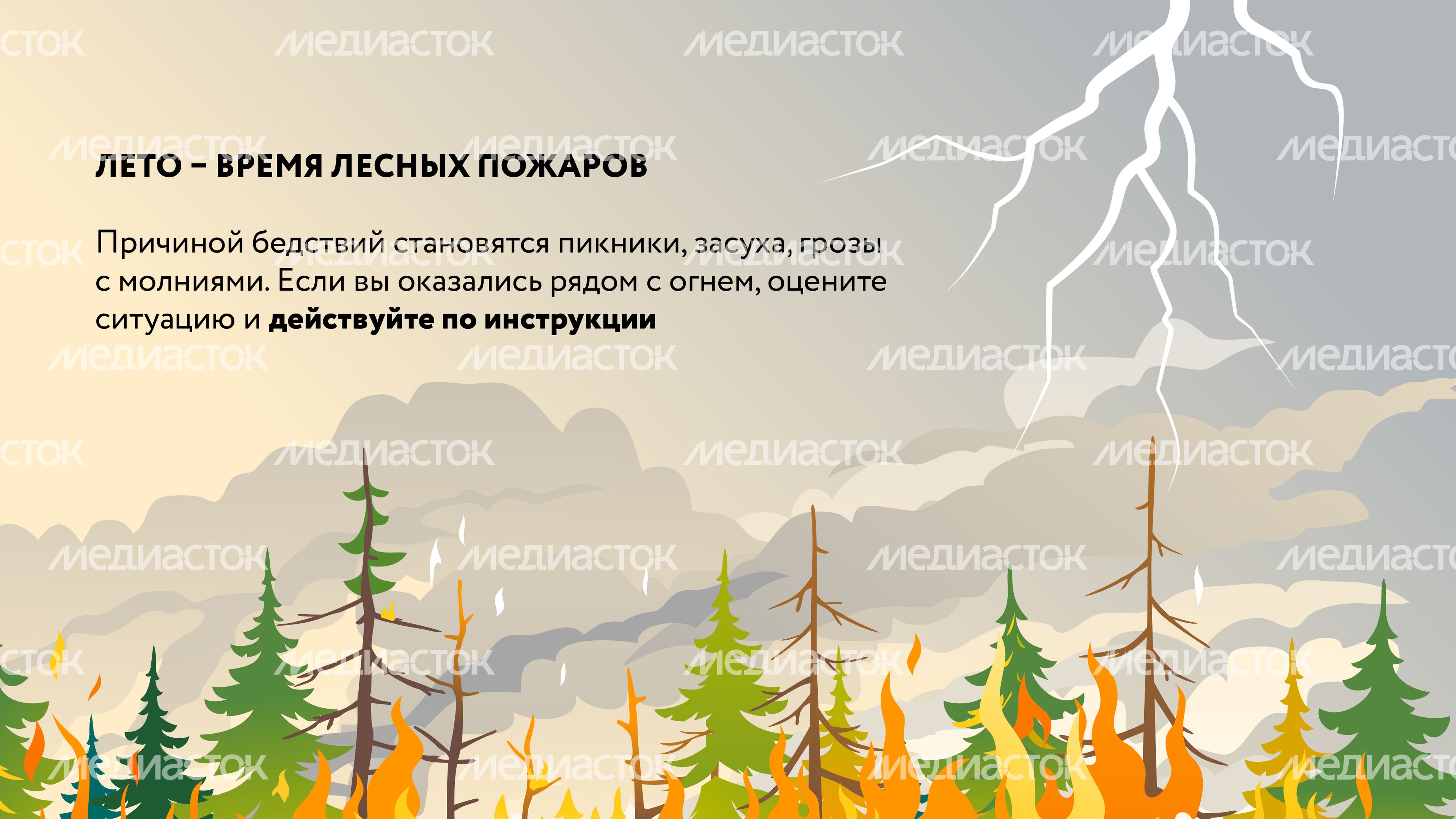 Лесные пожары-08.jpg