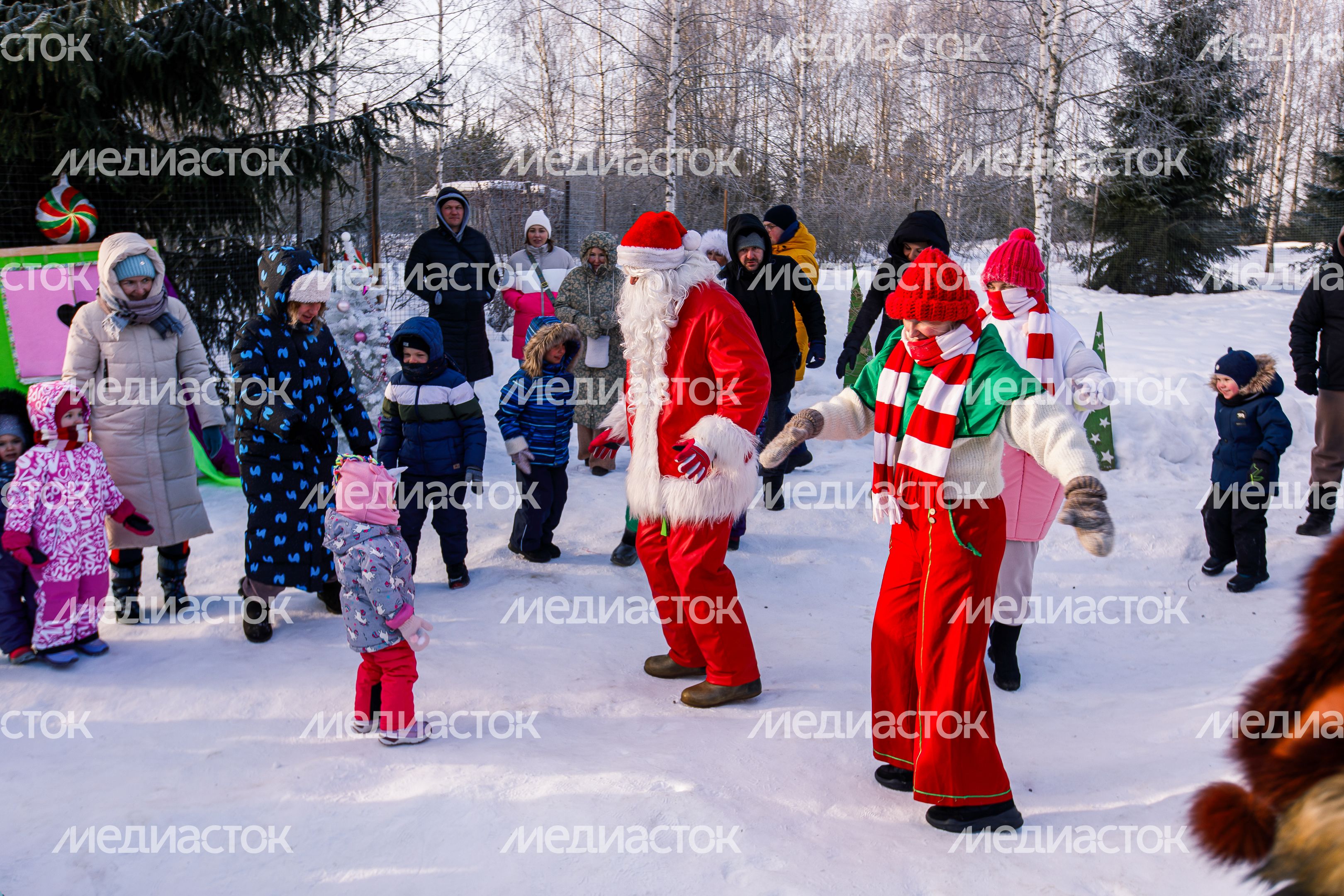 Оленья ферма ZooОleni в Рузском округе