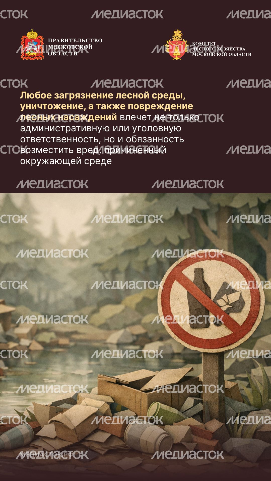 Санитарная безопасность в лесах вертикаль 06