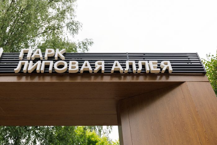 Парк "Липовая аллея" в Электроуглях
