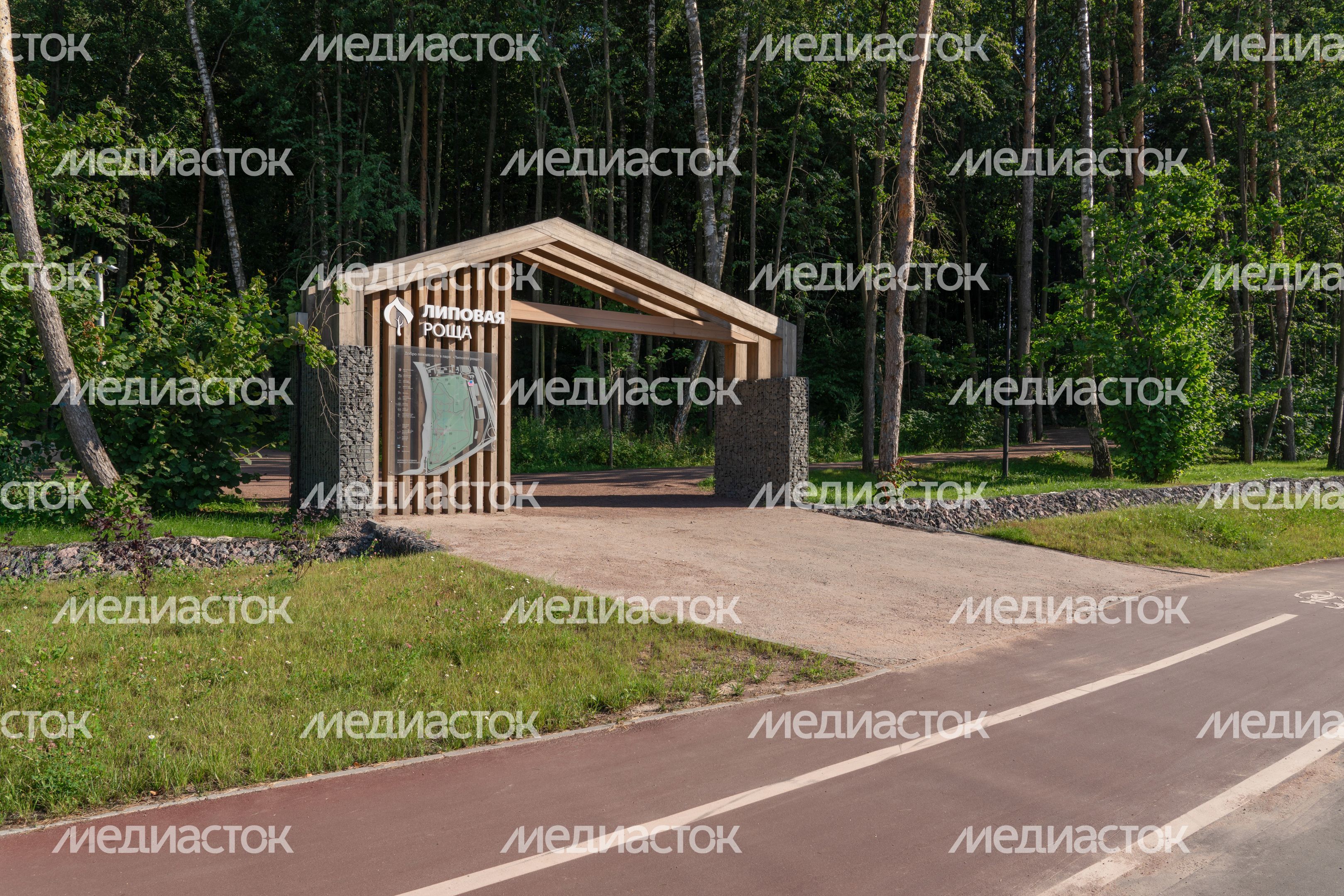 Липовая роща в Красногорске Липовая роща в Красногорске